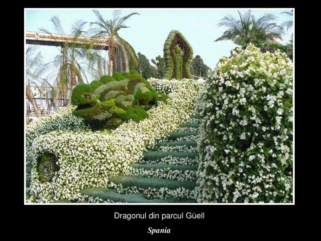 Dragonul din parcul Güell