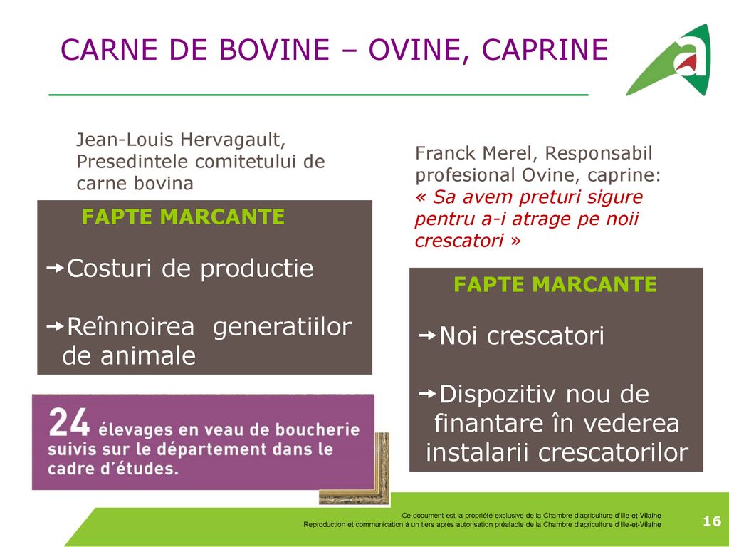 CARNE DE BOVINE – OVINE, CAPRINE