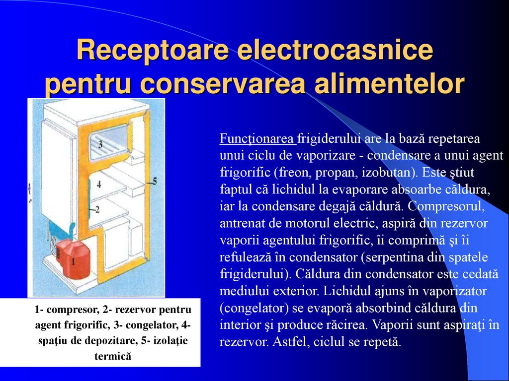 Receptoare electrocasnice pentru conservarea alimentelor