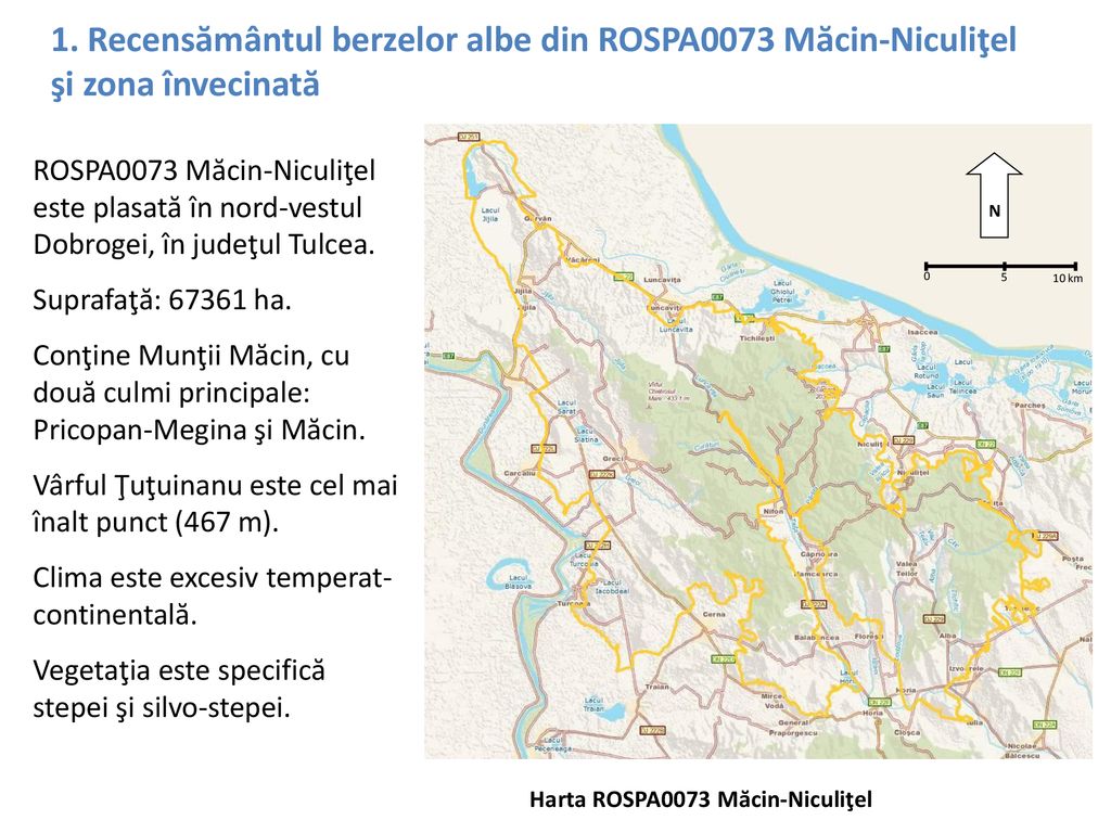 1. Recensământul berzelor albe din ROSPA0073 Măcin-Niculiţel şi zona învecinată