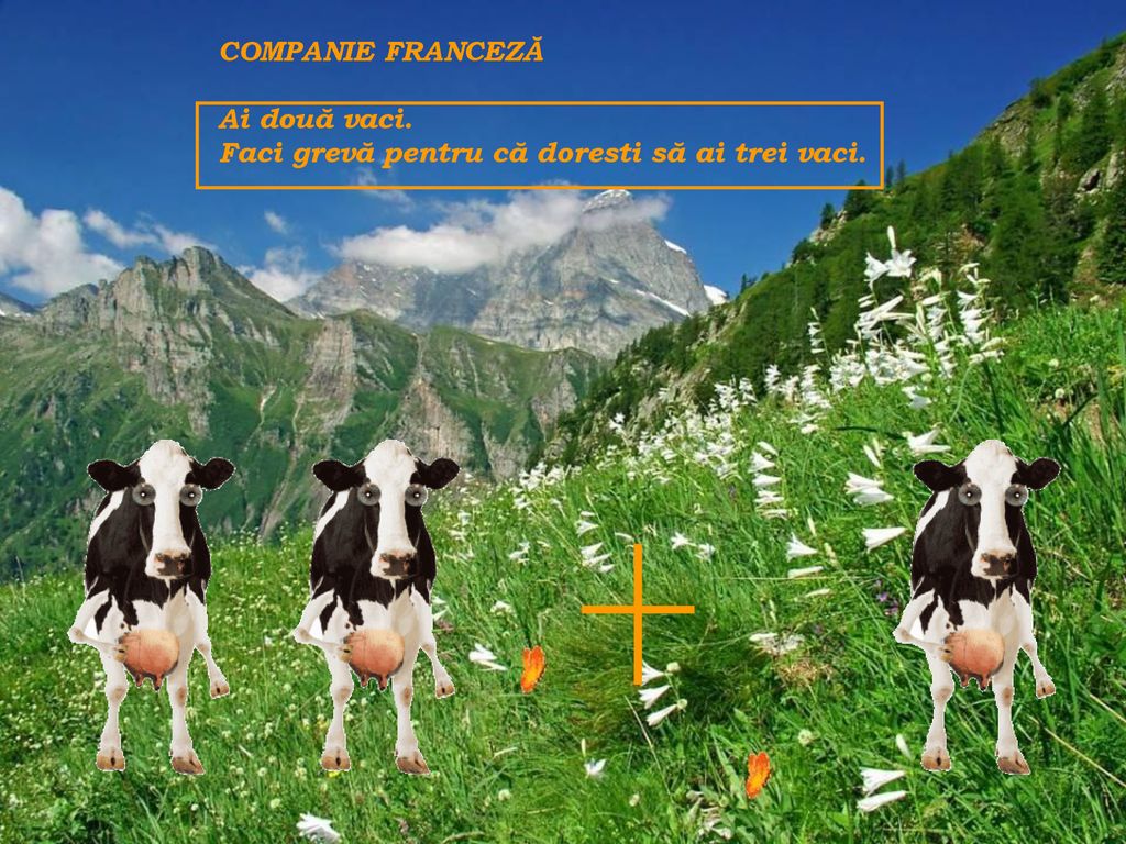 COMPANIE FRANCEZĂ Ai două vaci. Faci grevă pentru că doresti să ai trei vaci.
