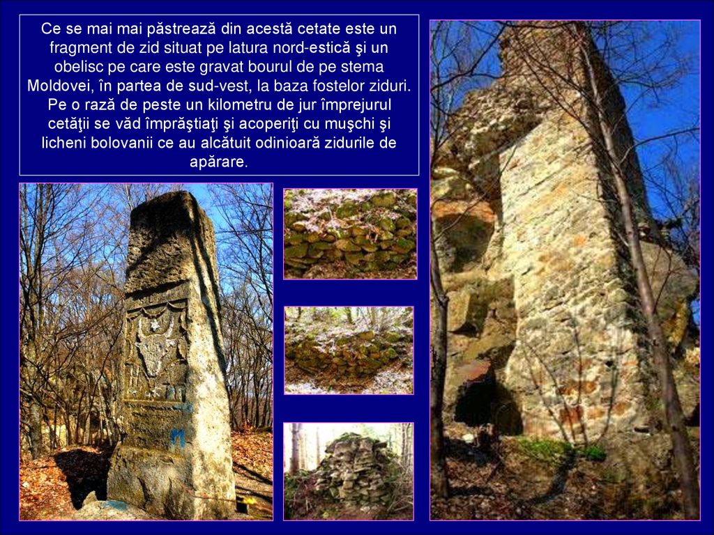 Ce se mai mai păstrează din acestă cetate este un fragment de zid situat pe latura nord-estică şi un obelisc pe care este gravat bourul de pe stema Moldovei, în partea de sud-vest, la baza fostelor ziduri.