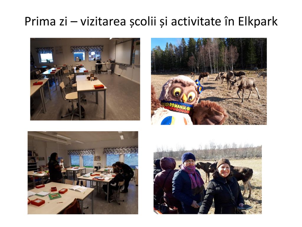Prima zi – vizitarea școlii și activitate în Elkpark
