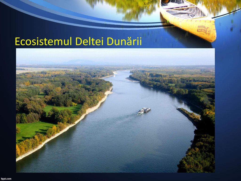 Ecosistemul Deltei Dunării
