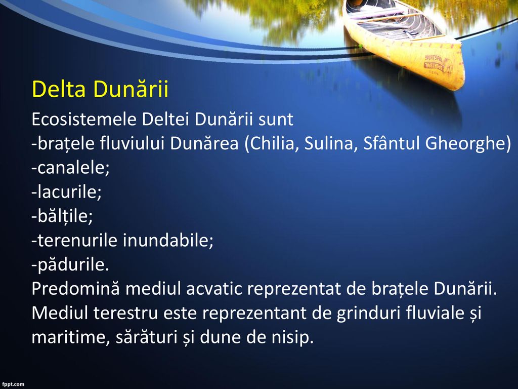 Delta Dunării Ecosistemele Deltei Dunării sunt