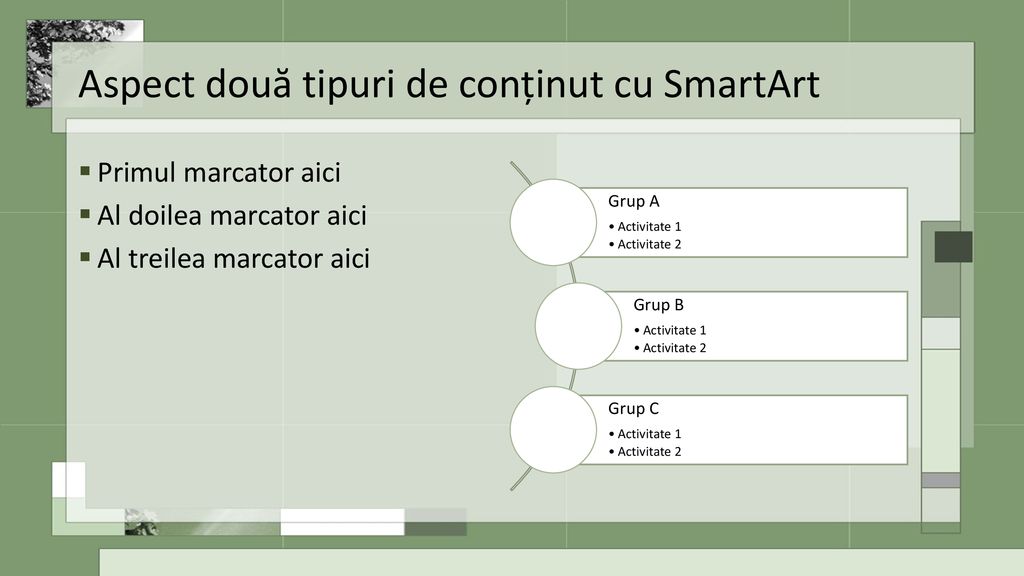 Aspect două tipuri de conținut cu SmartArt