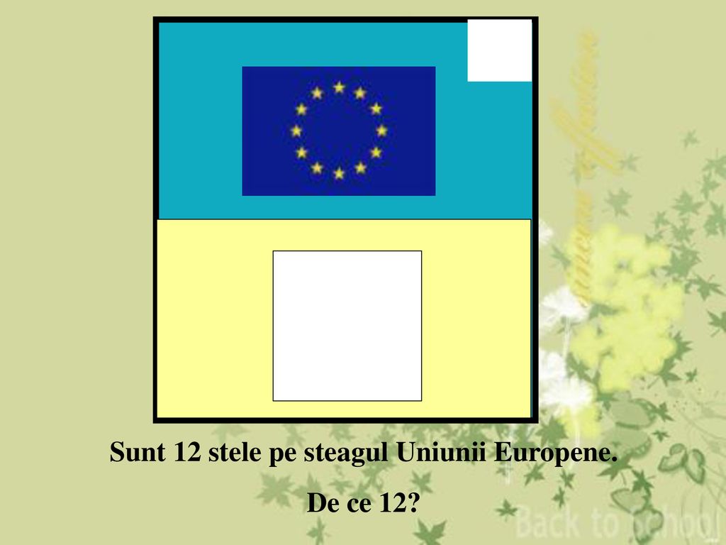 Sunt 12 stele pe steagul Uniunii Europene.