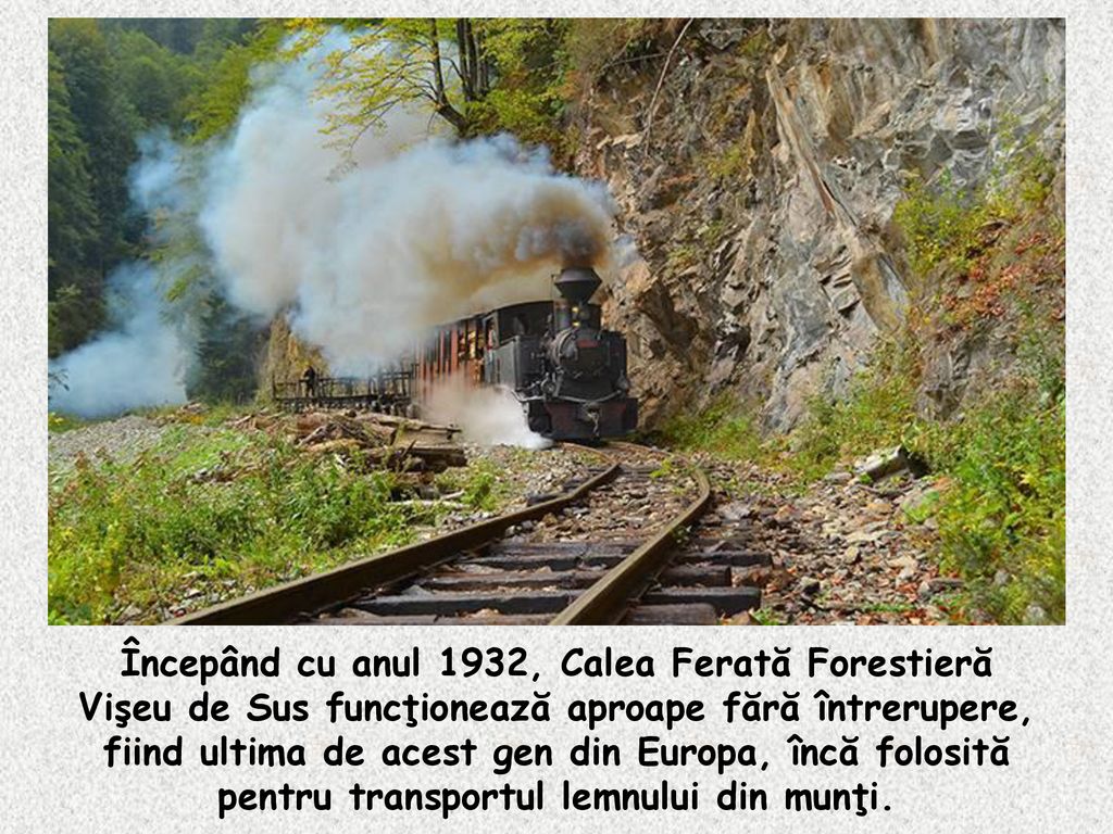 Începând cu anul 1932, Calea Ferată Forestieră Vişeu de Sus funcţionează aproape fără întrerupere, fiind ultima de acest gen din Europa, încă folosită pentru transportul lemnului din munţi.