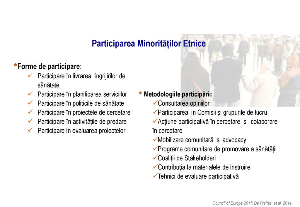 Participarea Minorităților Etnice