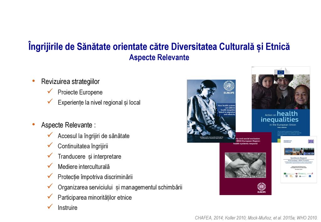 Îngrijirile de Sănătate orientate către Diversitatea Culturală și Etnică