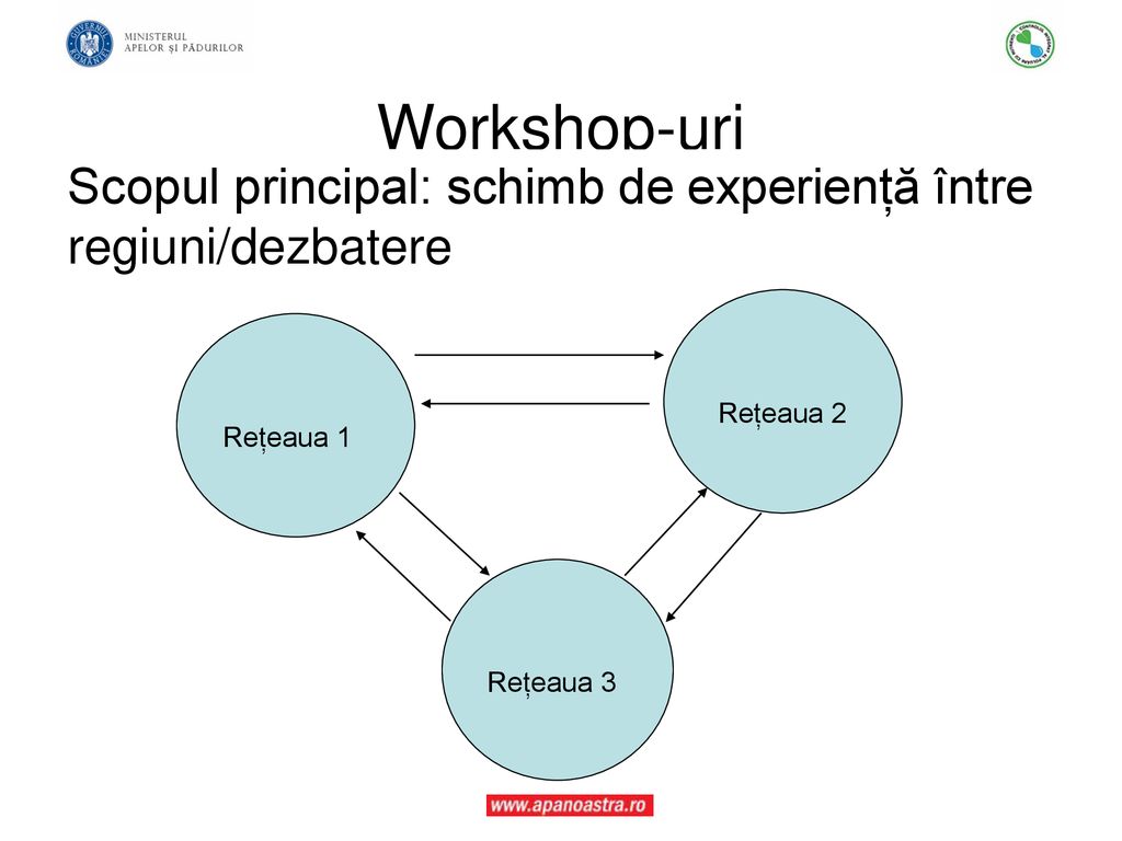 Workshop-uri Scopul principal: schimb de experiență între regiuni/dezbatere. Rețeaua 2. Rețeaua 1.