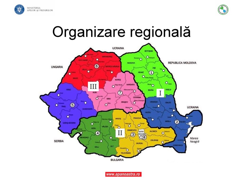 Organizare regională