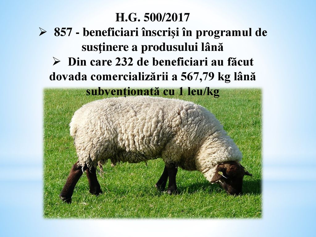 857 - beneficiari înscrişi în programul de susţinere a produsului lână