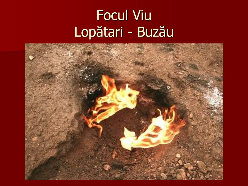 Focul Viu Lopătari - Buzău