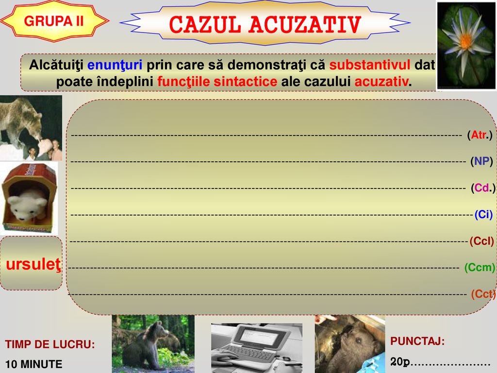 CAZUL ACUZATIV GRUPA II