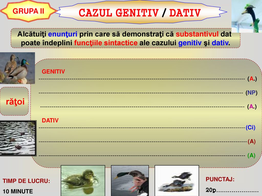 CAZUL GENITIV / DATIV GRUPA II
