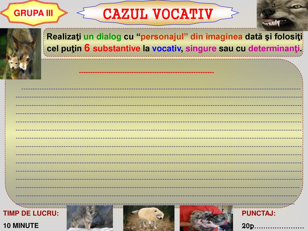 CAZUL VOCATIV GRUPA III