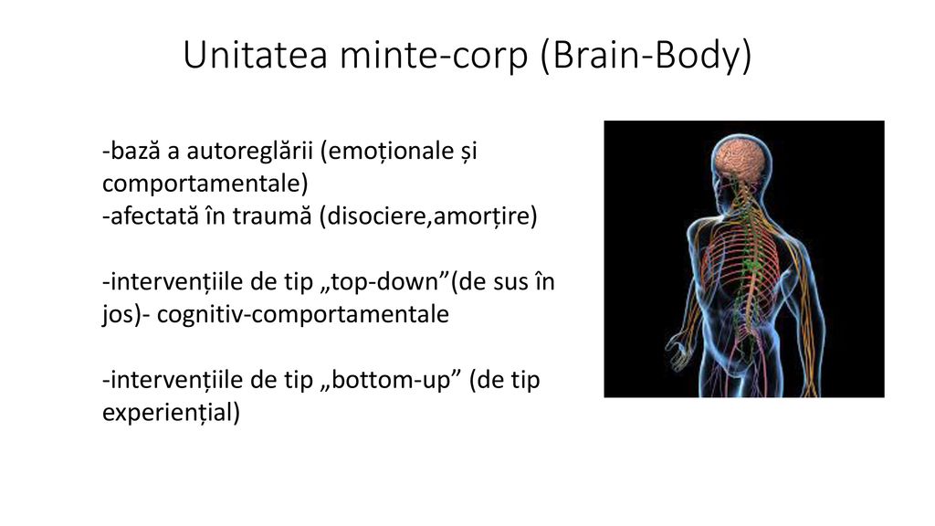 Unitatea minte-corp (Brain-Body)