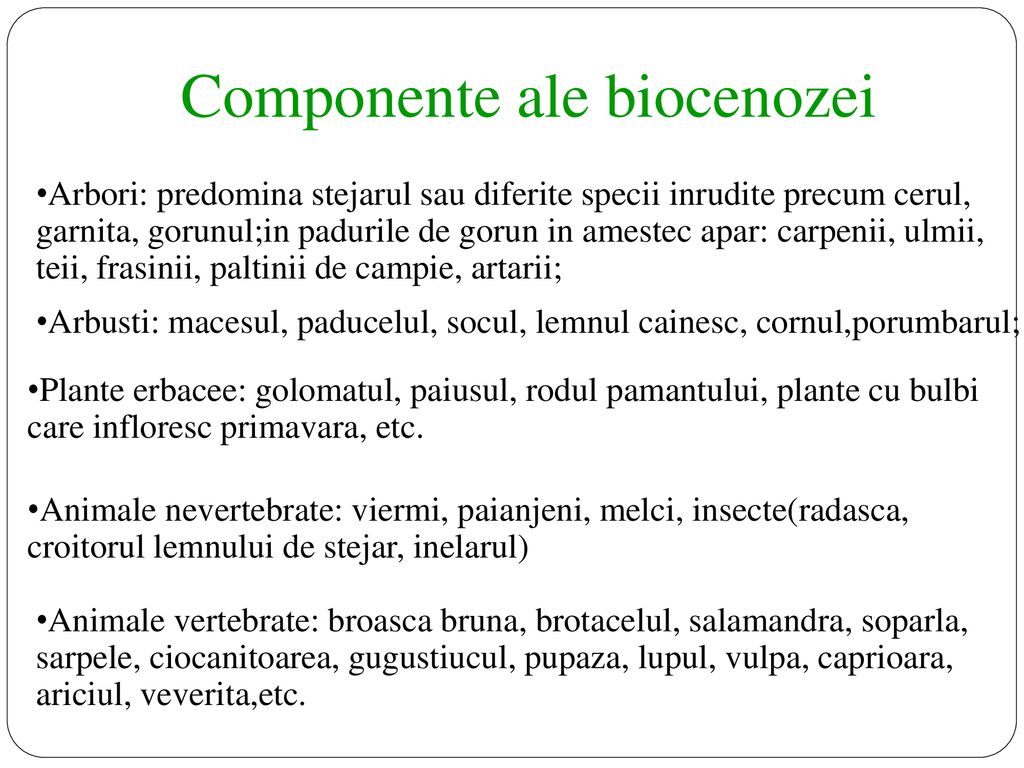 Componente ale biocenozei