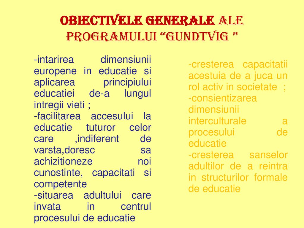 Obiectivele generale ale programului Gundtvig