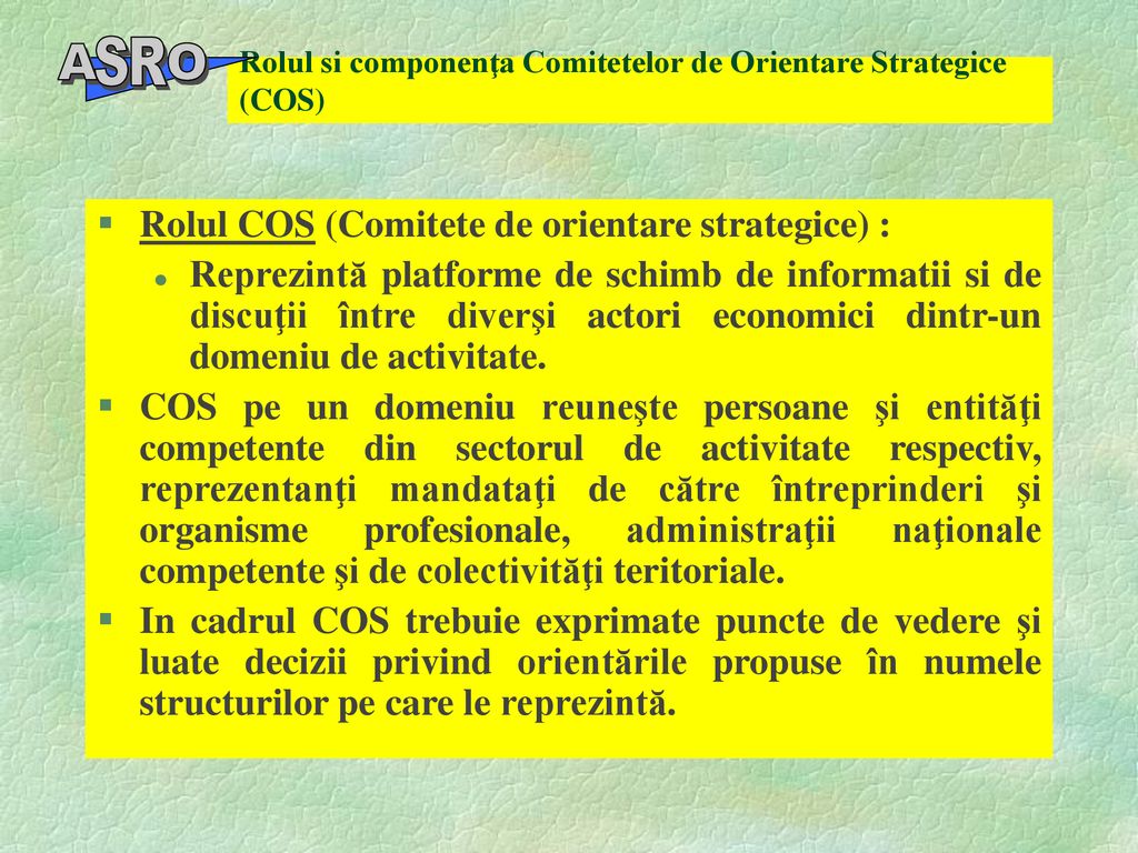Rolul si componenţa Comitetelor de Orientare Strategice (COS)