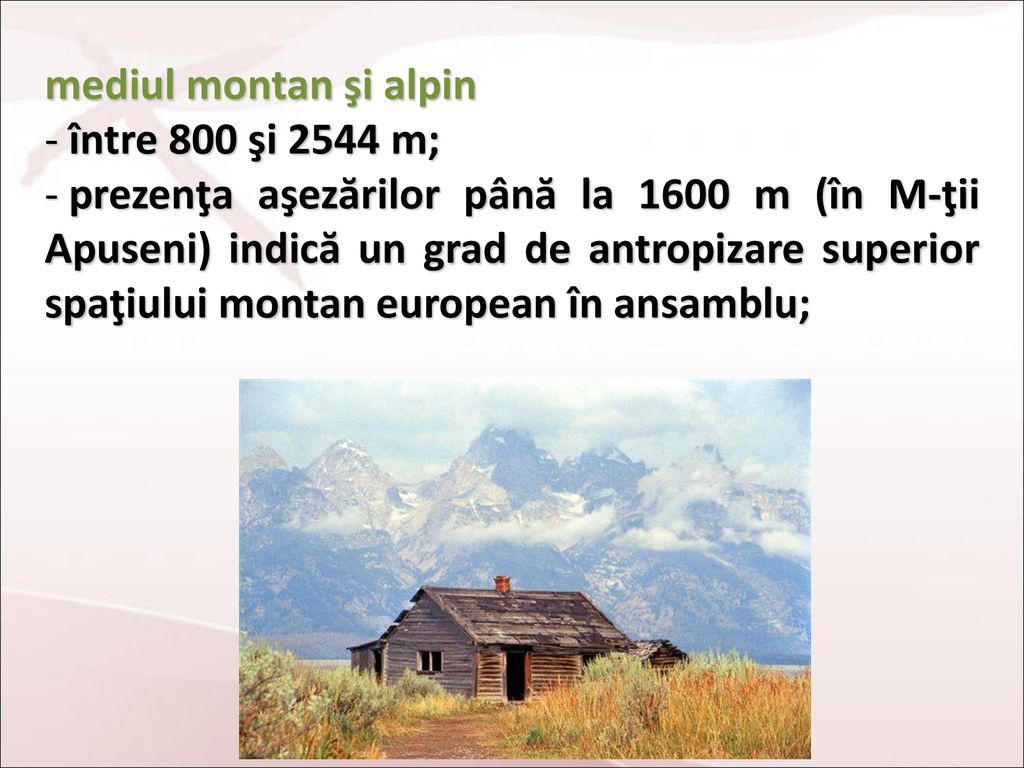 mediul montan şi alpin între 800 şi 2544 m;