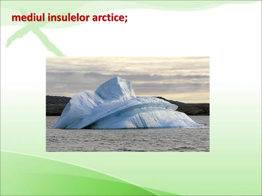 mediul insulelor arctice;