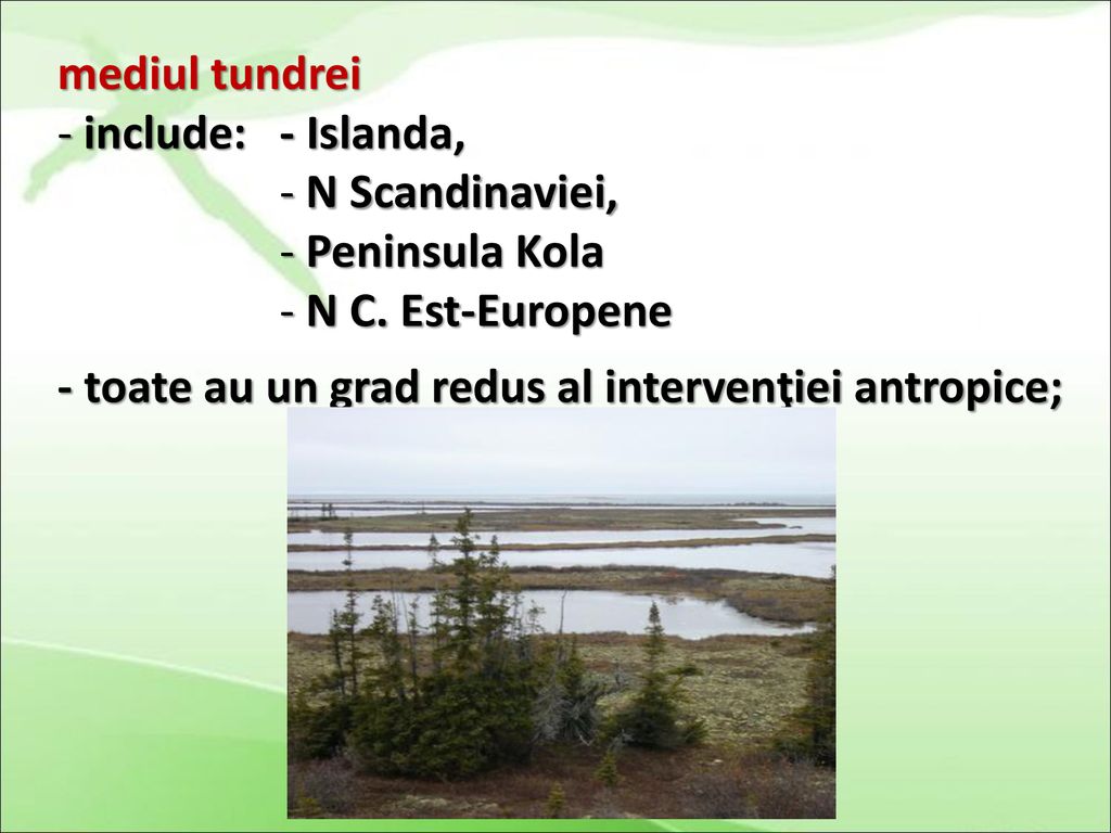 mediul tundrei include: - Islanda, N Scandinaviei, Peninsula Kola.