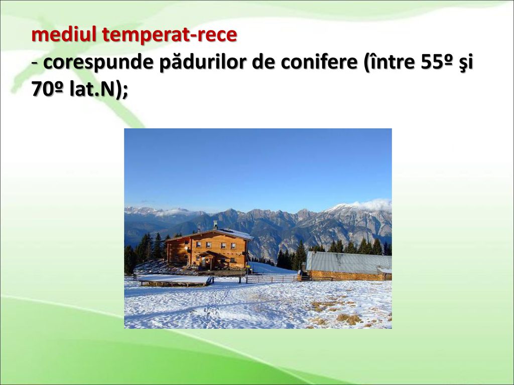 mediul temperat-rece corespunde pădurilor de conifere (între 55º şi 70º lat.N);