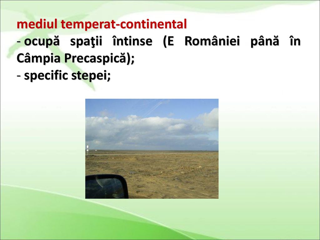 mediul temperat-continental