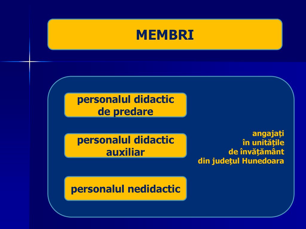 personalul didactic auxiliar personalul nedidactic