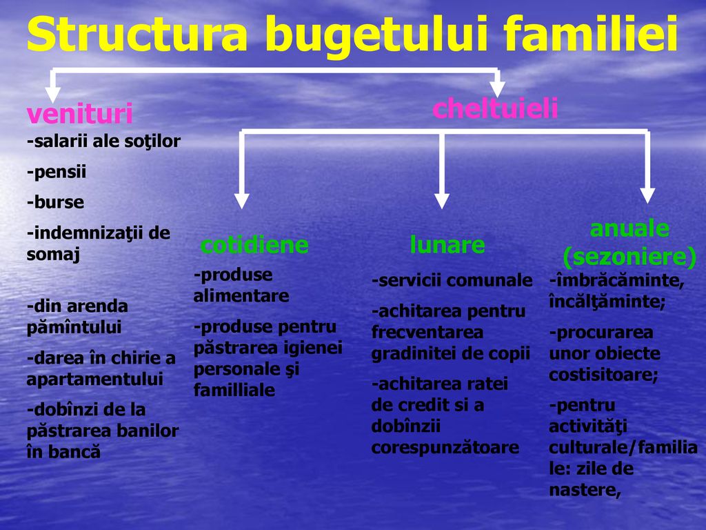 Structura bugetului familiei