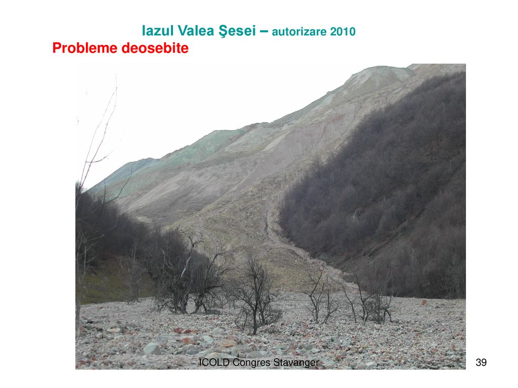 Iazul Valea Şesei – autorizare 2010