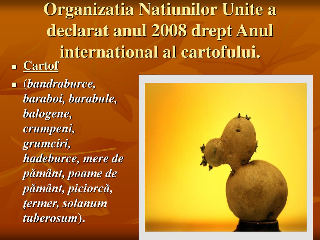 Organizatia Natiunilor Unite a declarat anul 2008 drept Anul international al cartofului.