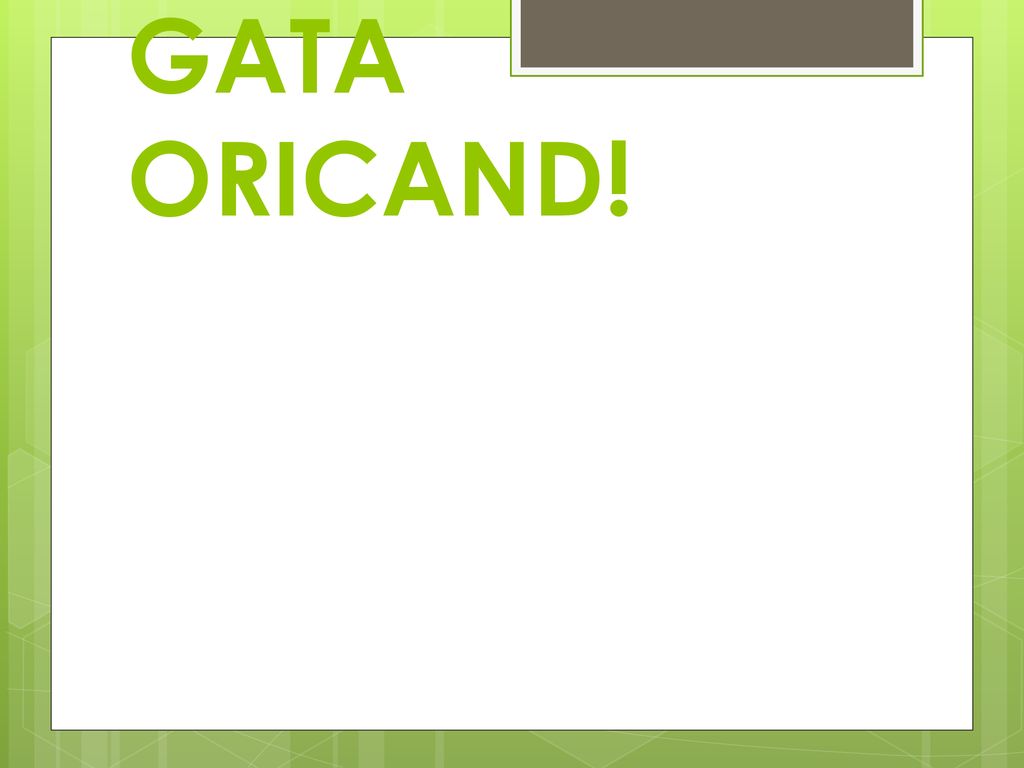 GATA ORICAND!