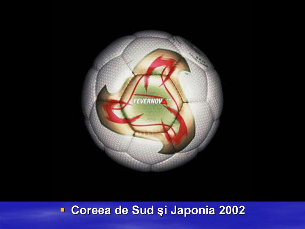 Coreea de Sud şi Japonia 2002