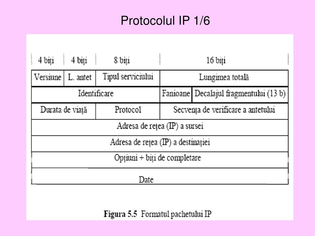 Protocolul IP 1/6