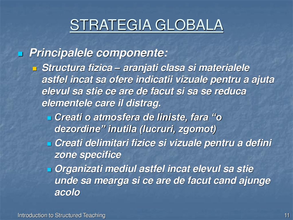 STRATEGIA GLOBALA Principalele componente:
