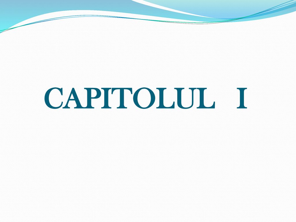 CAPITOLUL I