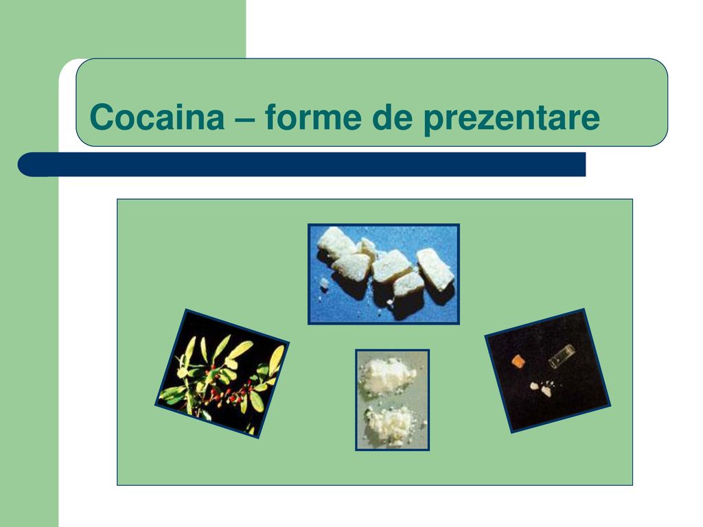 Cocaina – forme de prezentare