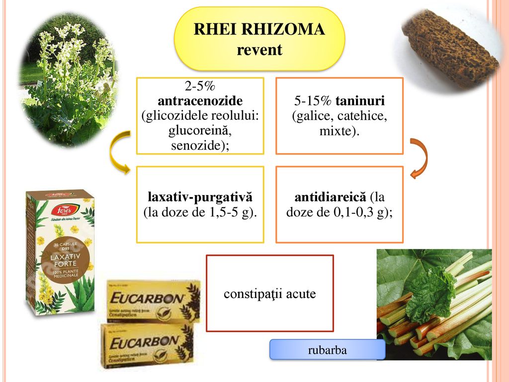 RHEI RHIZOMA revent. 2-5% antracenozide (glicozidele reolului: glucoreină, senozide); 5-15% taninuri (galice, catehice, mixte).