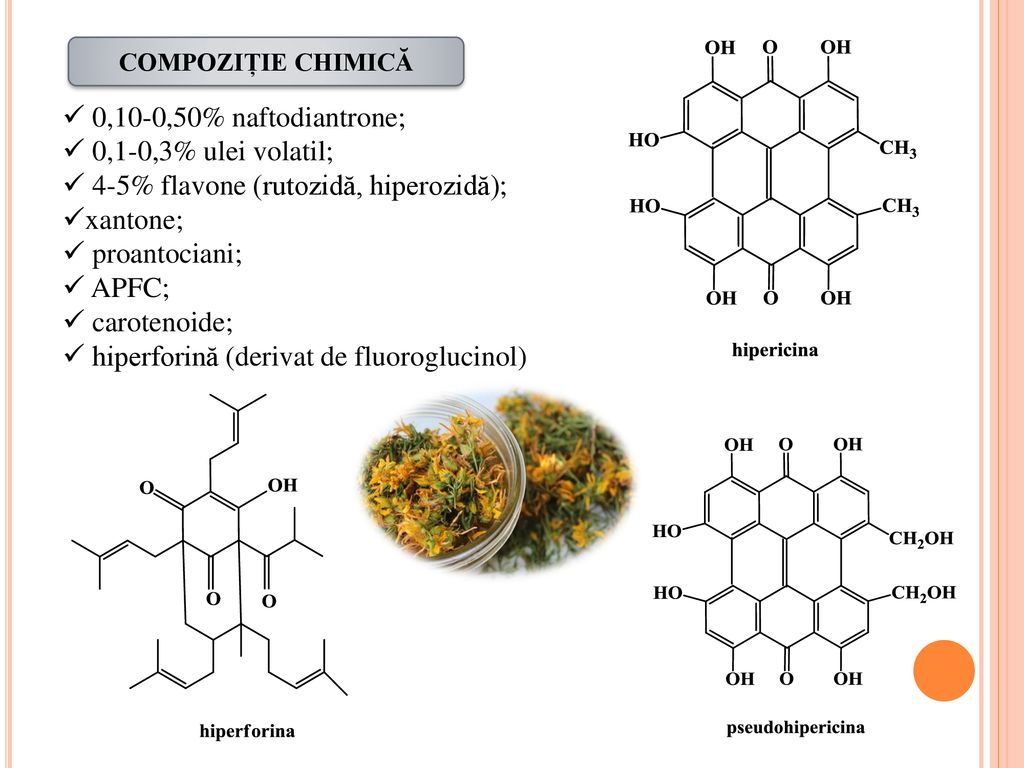 4-5% flavone (rutozidă, hiperozidă); xantone; proantociani; APFC;