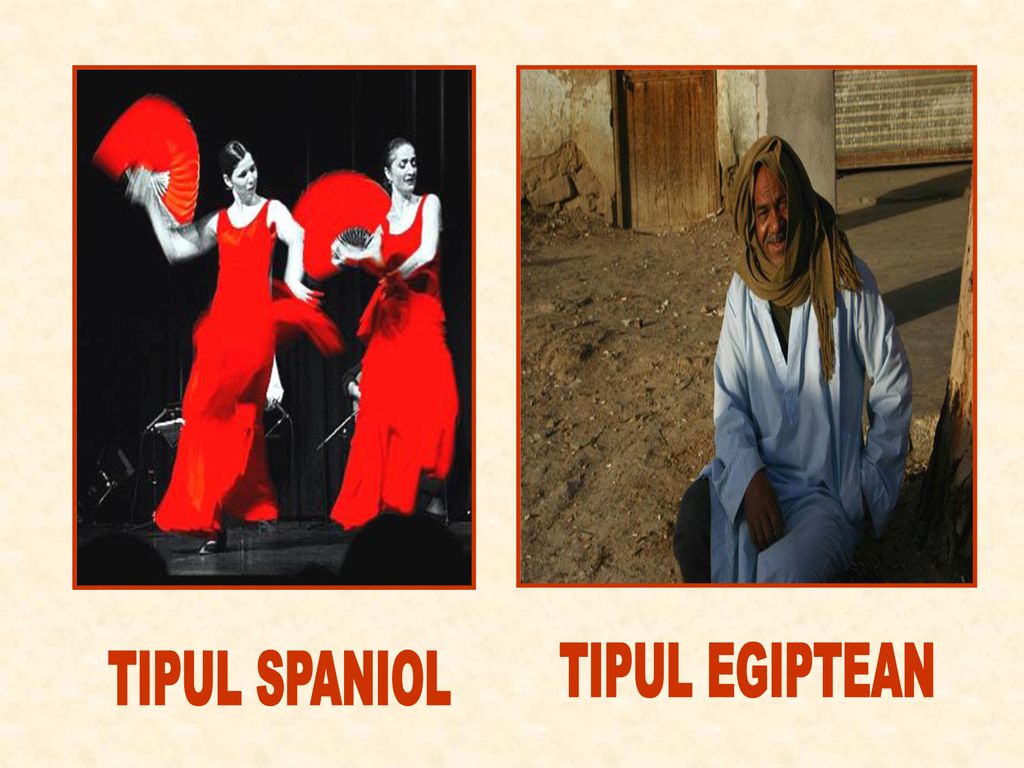 TIPUL EGIPTEAN TIPUL SPANIOL