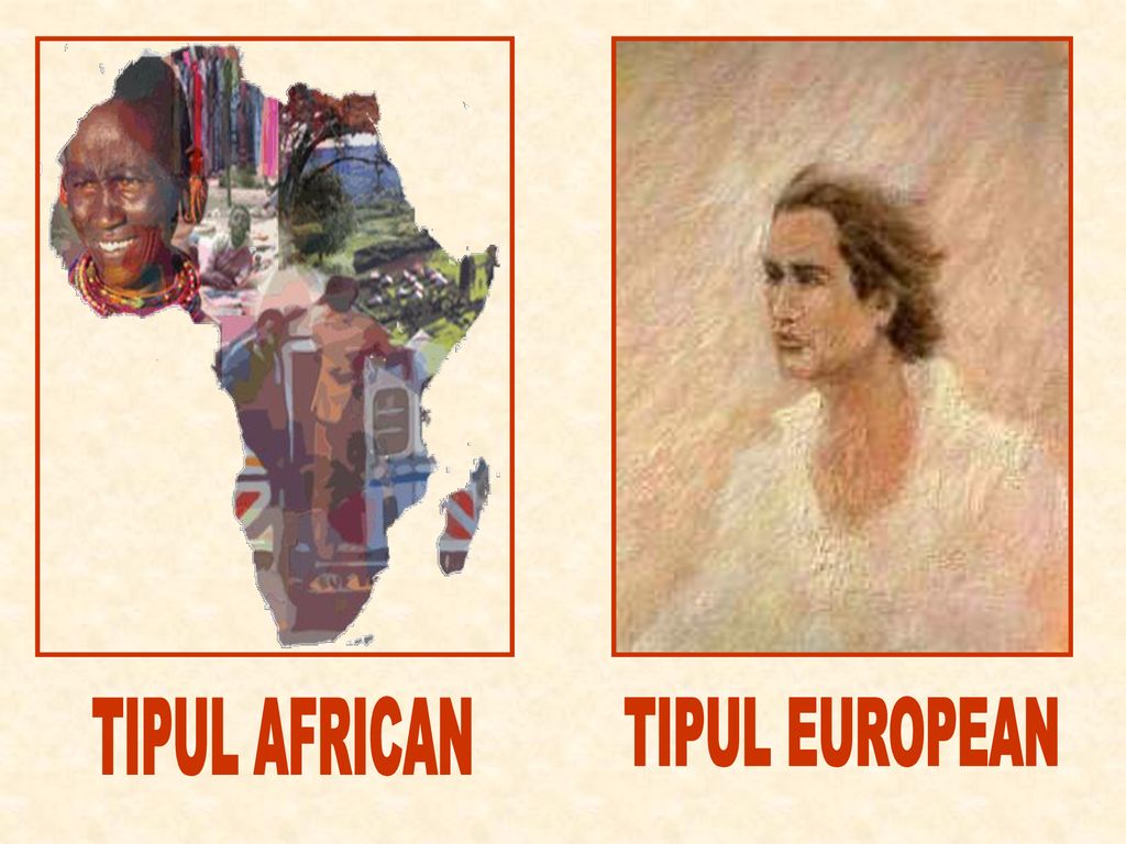 TIPUL AFRICAN TIPUL EUROPEAN